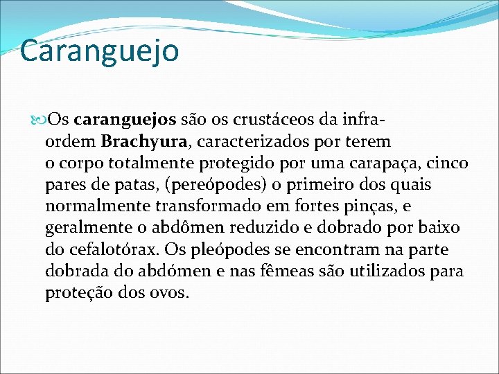 Caranguejo Os caranguejos são os crustáceos da infraordem Brachyura, caracterizados por terem o corpo