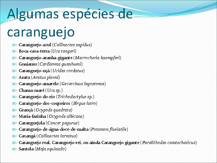 Algumas espécies de caranguejo Caranguejo-azul (Callinectes sapidus) Boca-cava-terra (Uca tangeri) Caranguejo-aranha-gigante (Macrocheria kaempferi) Guaiamu