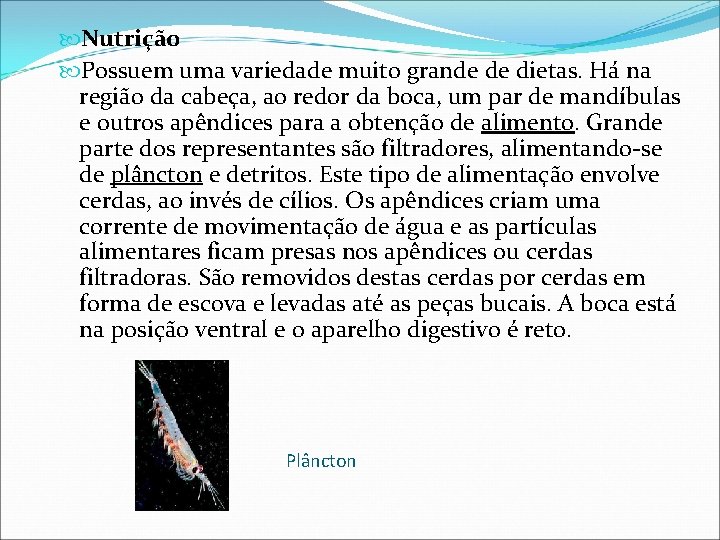  Nutrição Possuem uma variedade muito grande de dietas. Há na região da cabeça,