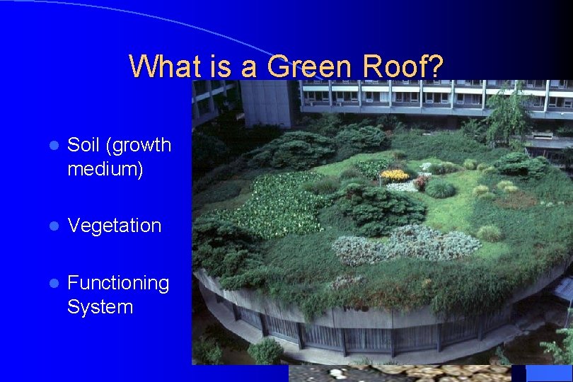 What is a Green Roof? l Soil (growth medium) l Vegetation l Functioning System