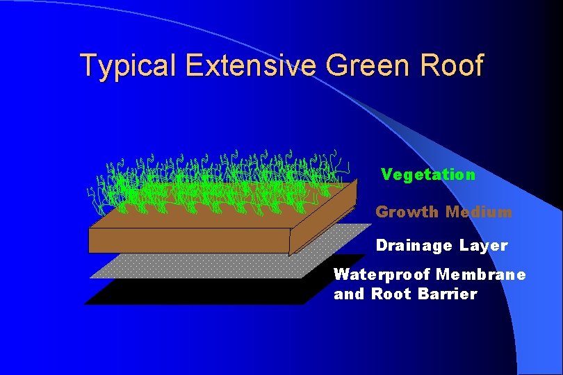 Typical Extensive Green Roof Vegetation Growth Medium Drainage Layer Waterproof Membrane and Root Barrier