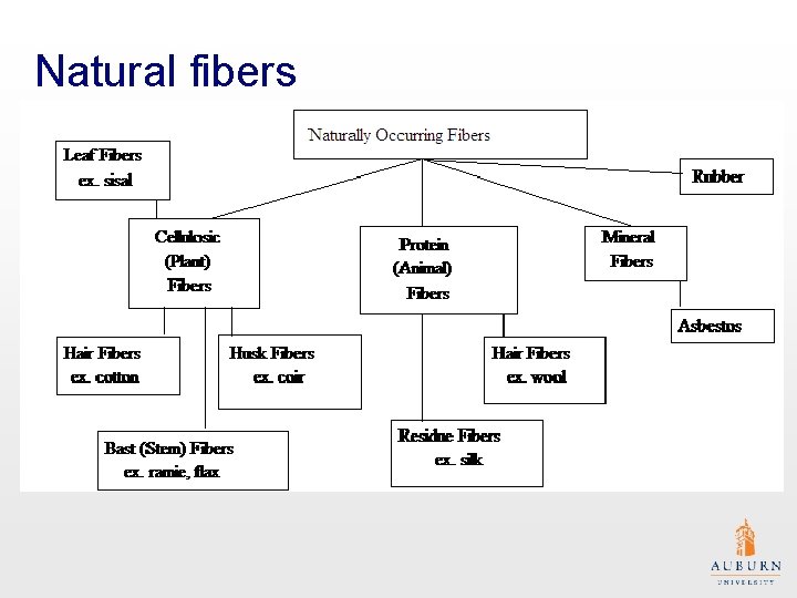 Natural fibers 