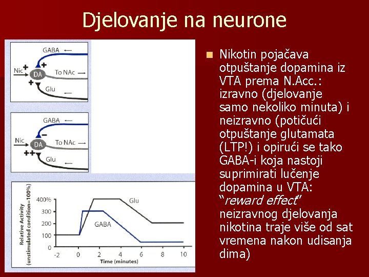 Djelovanje na neurone n Nikotin pojačava otpuštanje dopamina iz VTA prema N. Acc. :