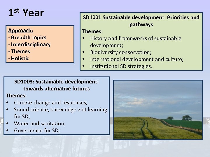 1 st Year Approach: - Breadth topics - Interdisciplinary - Themes - Holistic SD