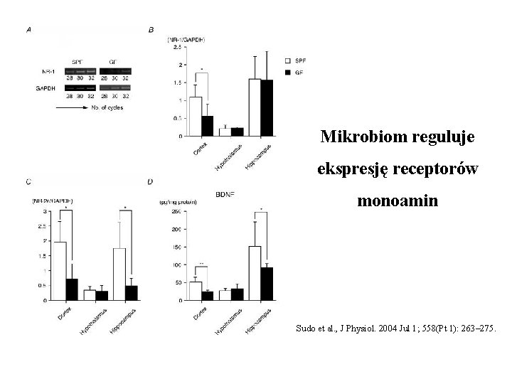 Mikrobiom reguluje ekspresję receptorów monoamin Sudo et al. , J Physiol. 2004 Jul 1;