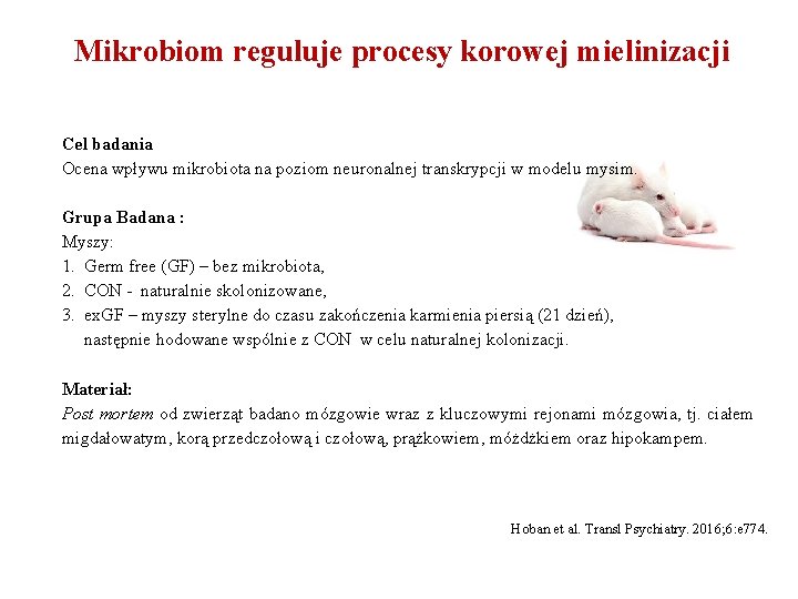 Mikrobiom reguluje procesy korowej mielinizacji Cel badania Ocena wpływu mikrobiota na poziom neuronalnej transkrypcji