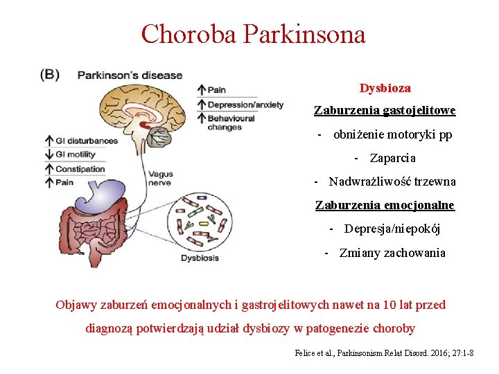 Choroba Parkinsona Dysbioza Zaburzenia gastojelitowe - obniżenie motoryki pp - Zaparcia - Nadwrażliwość trzewna