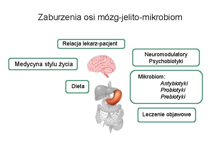 Zaburzenia osi mózg-jelito-mikrobiom Relacja lekarz-pacjent Medycyna stylu życia Dieta Neuromodulatory Psychobiotyki Mikrobiom: Antybiotyki Probiotyki