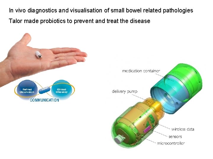 In vivo diagnostics and visualisation of small bowel related pathologies Talor made probiotics to