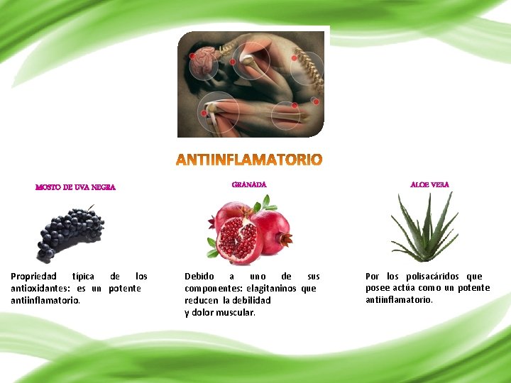 MOSTO DE UVA NEGRA Propriedad típica de los antioxidantes: es un potente antiinflamatorio. GRANADA
