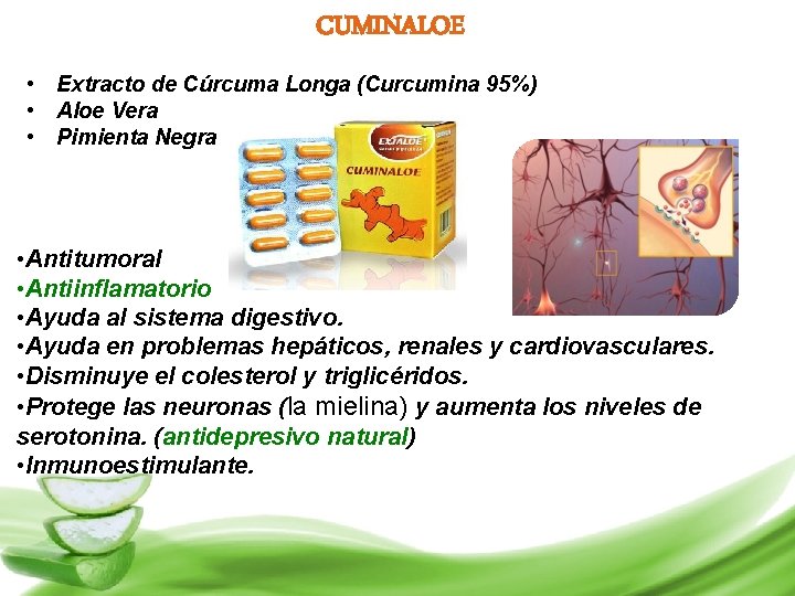 CUMINALOE • Extracto de Cúrcuma Longa (Curcumina 95%) • Aloe Vera • Pimienta Negra