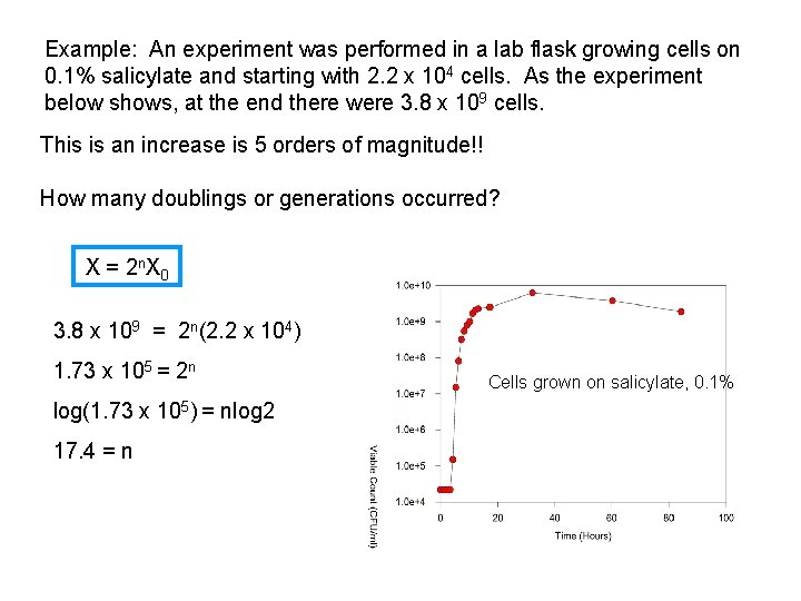 Example: An experiment was performed in a lab flask growing cells on 0. 1%