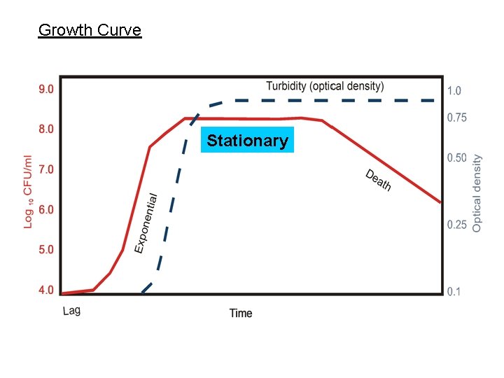 Growth Curve Stationary 