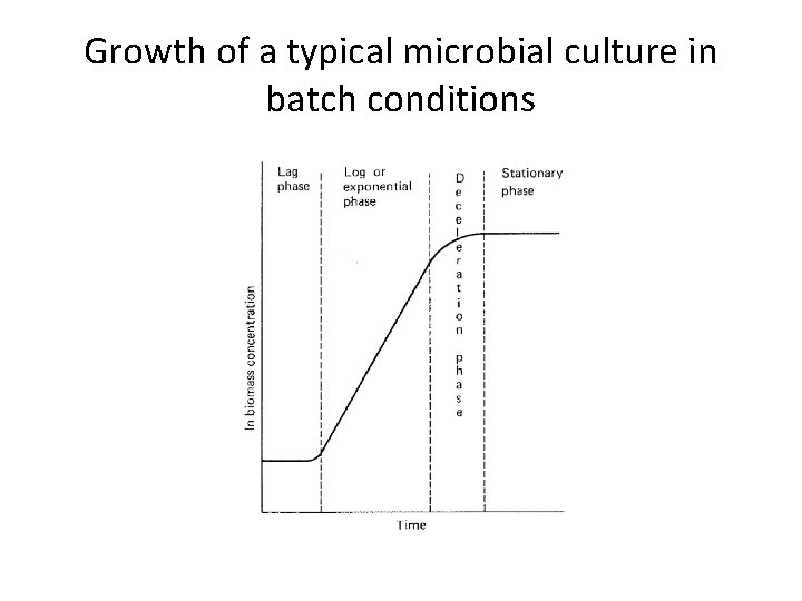 Growth of a typical microbial culture in batch conditions 