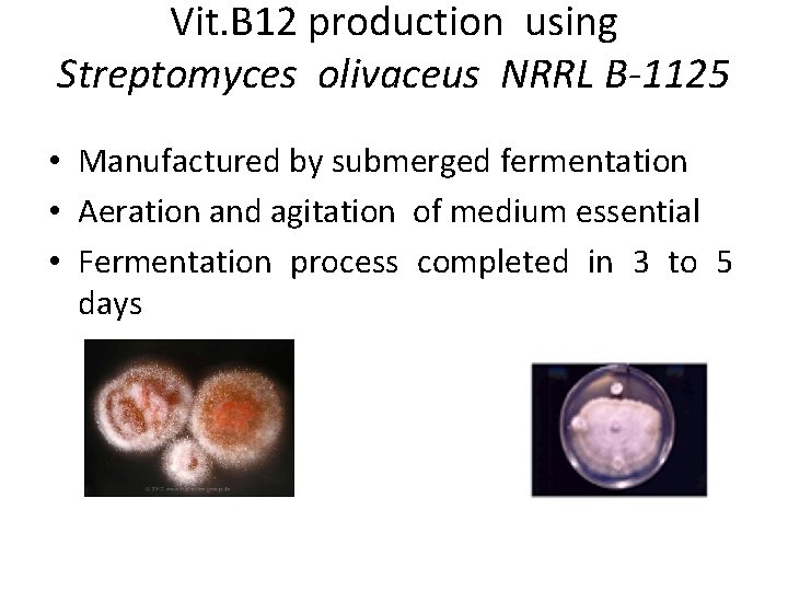 Vit. B 12 production using Streptomyces olivaceus NRRL B-1125 • Manufactured by submerged fermentation