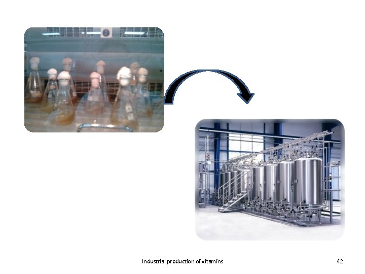 Industrial production of vitamins 42 
