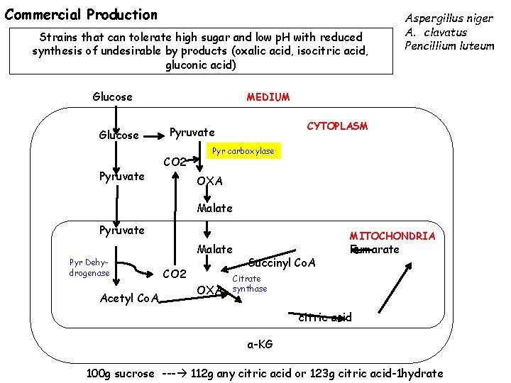 Commercial Production Strains that can tolerate high sugar and low p. H with reduced