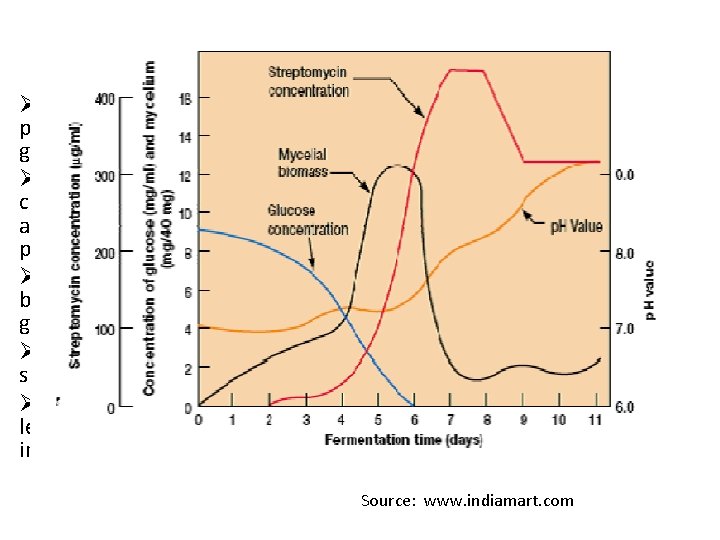 Streptomycin ØSecondary metabolite produced by Streptomyces griseus. ØChange in environment condition and substrate availability