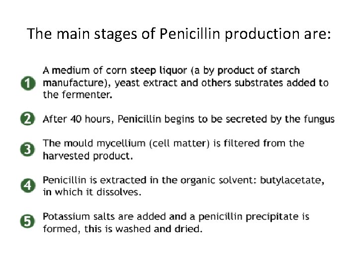 The main stages of Penicillin production are: 