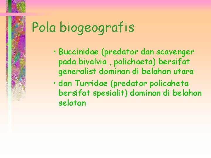 Pola biogeografis • Buccinidae (predator dan scavenger pada bivalvia , polichaeta) bersifat generalist dominan