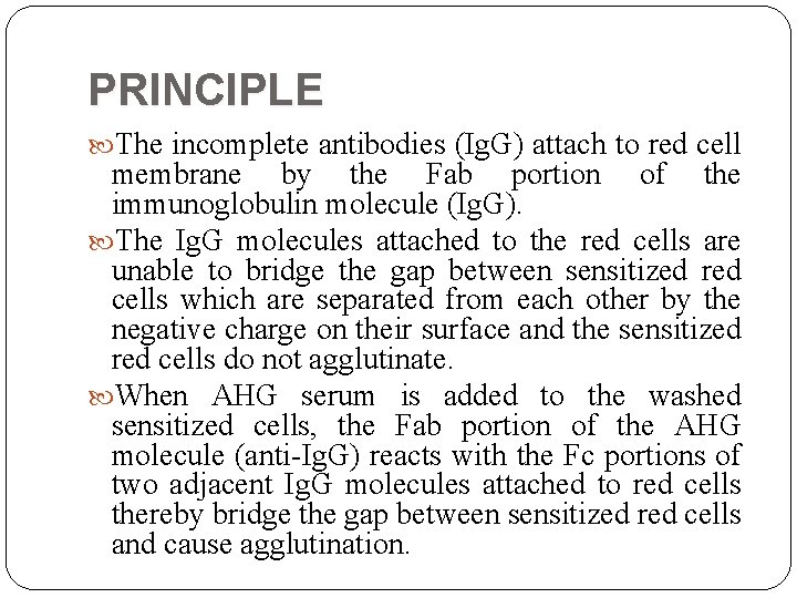 PRINCIPLE The incomplete antibodies (Ig. G) attach to red cell membrane by the Fab
