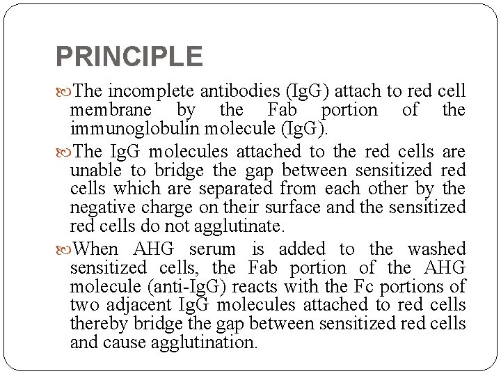 PRINCIPLE The incomplete antibodies (Ig. G) attach to red cell membrane by the Fab