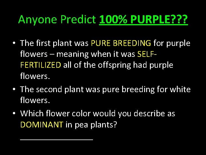 Anyone Predict 100% PURPLE? ? ? • The first plant was PURE BREEDING for