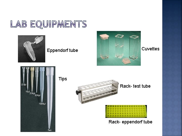 Eppendorf tube Cuvettes Tips Rack- test tube Rack- eppendorf tube 