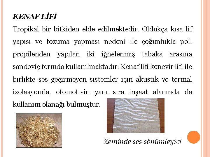 KENAF LİFİ Tropikal bir bitkiden elde edilmektedir. Oldukça kısa lif yapısı ve tozuma yapması