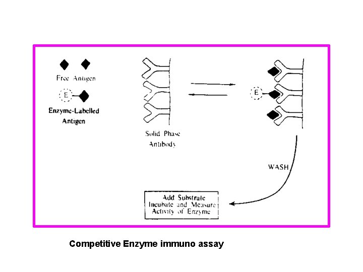 Competitive Enzyme immuno assay 