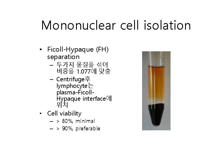 Mononuclear cell isolation • Ficoll-Hypaque (FH) separation – 두가지 물질을 섞어 비중을 1. 077에