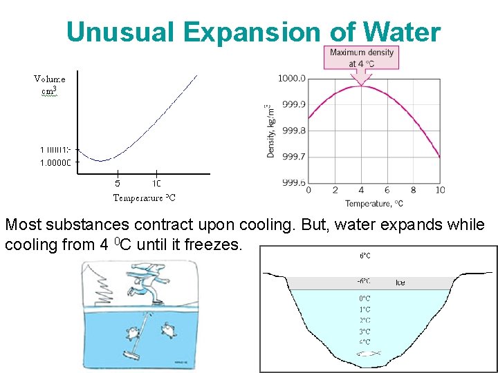 Unusual Expansion of Water Most substances contract upon cooling. But, water expands while cooling