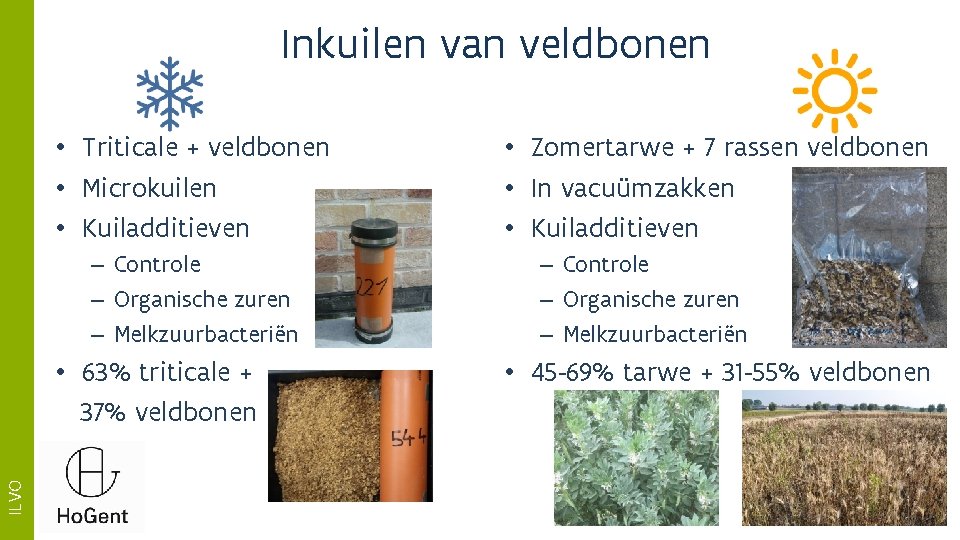 Inkuilen van veldbonen • Triticale + veldbonen • Microkuilen • Kuiladditieven – Controle –