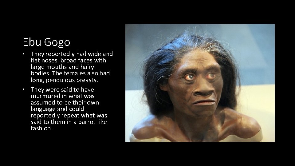 Ebu Gogo • They reportedly had wide and flat noses, broad faces with large