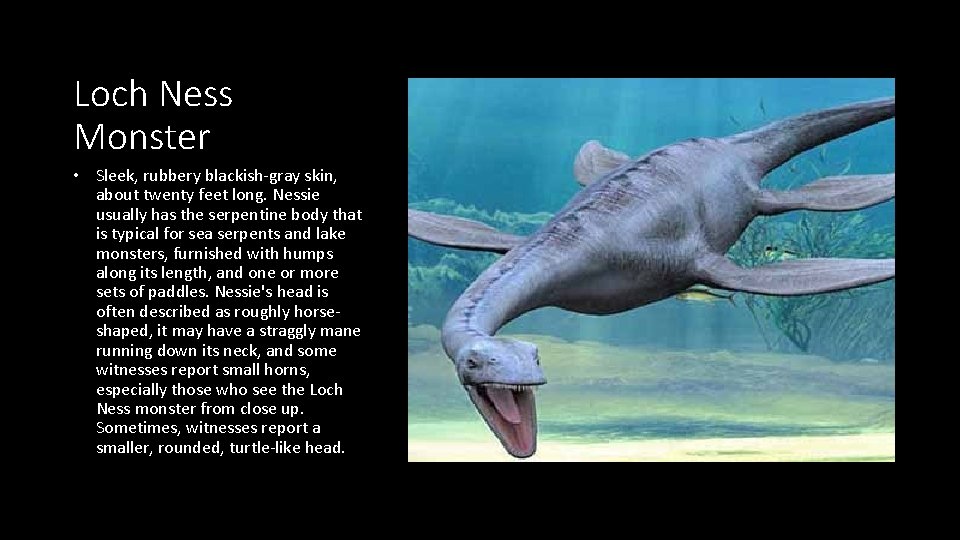 Loch Ness Monster • Sleek, rubbery blackish-gray skin, about twenty feet long. Nessie usually