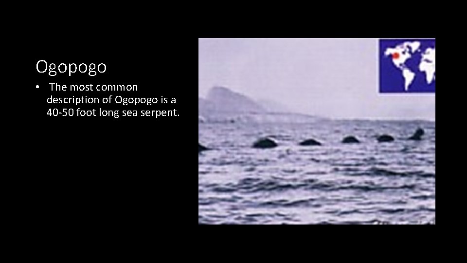 Ogopogo • The most common description of Ogopogo is a 40 -50 foot long