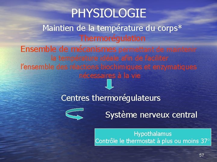 PHYSIOLOGIE Maintien de la température du corps* Thermorégulation Ensemble de mécanismes permettant de maintenir