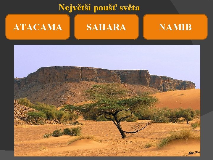 Největší poušť světa ATACAMA SAHARA NAMIB 