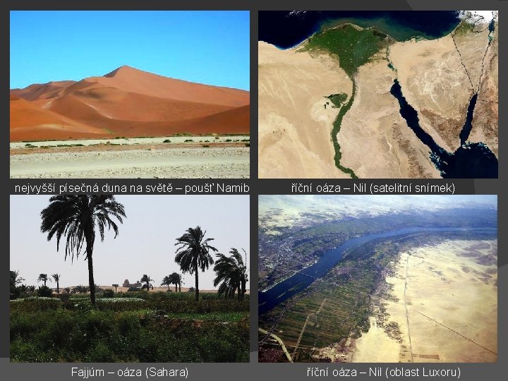 nejvyšší písečná duna na světě – poušť Namib Fajjúm – oáza (Sahara) říční oáza