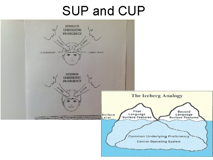 SUP and CUP 