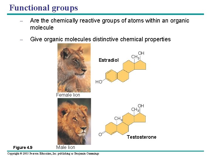 Functional groups – Are the chemically reactive groups of atoms within an organic molecule