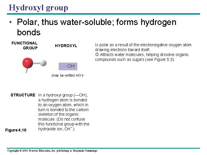 Hydroxyl group • Polar, thus water-soluble; forms hydrogen bonds FUNCTIONAL GROUP HYDROXYL Is polar