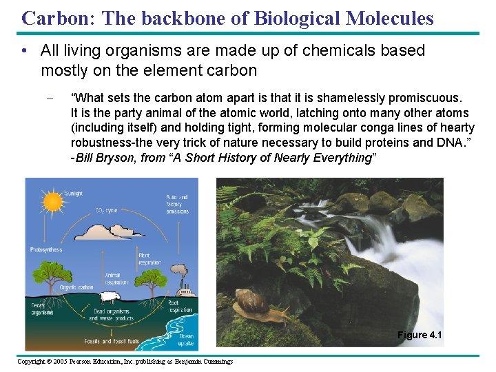 Carbon: The backbone of Biological Molecules • All living organisms are made up of