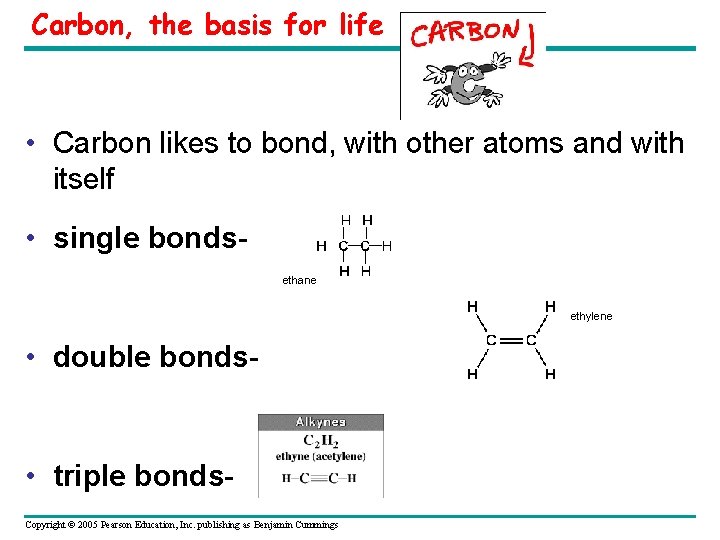 Carbon, the basis for life • Carbon likes to bond, with other atoms and
