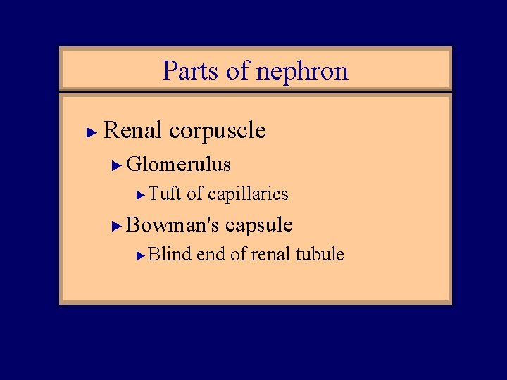 Parts of nephron ► Renal corpuscle ► Glomerulus ► ► Tuft of capillaries Bowman's