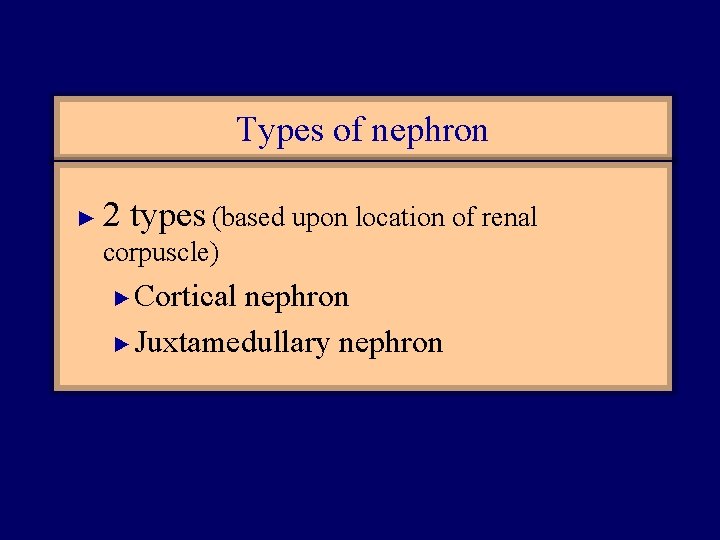 Types of nephron ► 2 types (based upon location of renal corpuscle) Cortical nephron