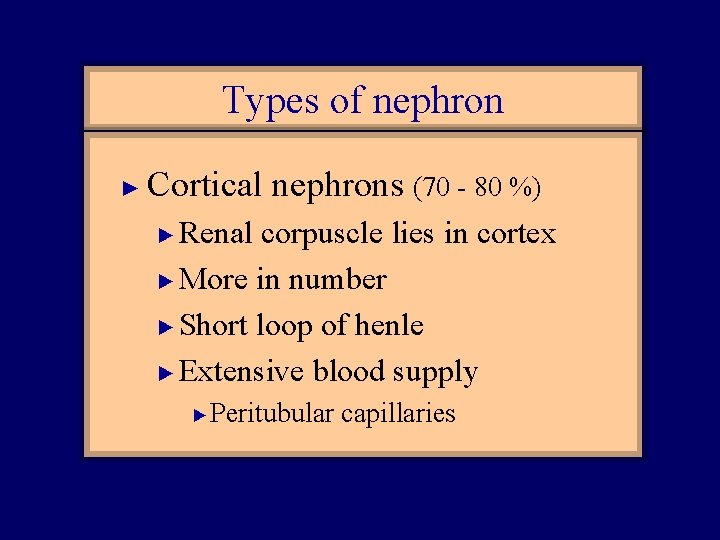 Types of nephron ► Cortical nephrons (70 - 80 %) Renal corpuscle lies in