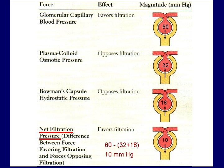 60 32 18 60 - (32+18) 10 mm Hg 