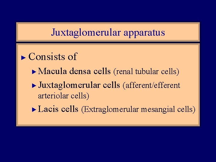 Juxtaglomerular apparatus ► Consists of Macula densa cells (renal tubular cells) ► Juxtaglomerular cells