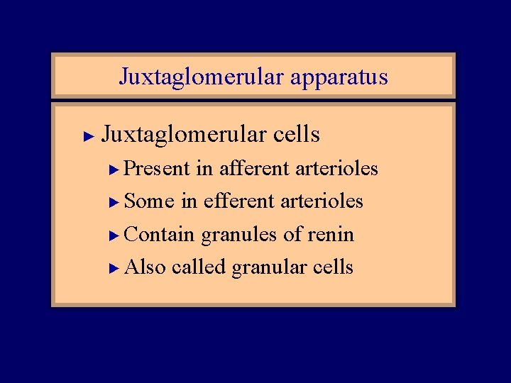 Juxtaglomerular apparatus ► Juxtaglomerular cells Present in afferent arterioles ► Some in efferent arterioles